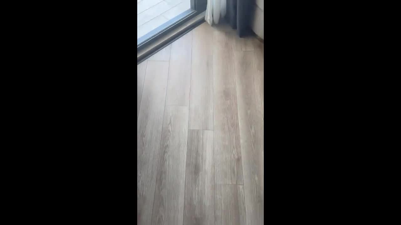 Video 366490 from Stifflersmom