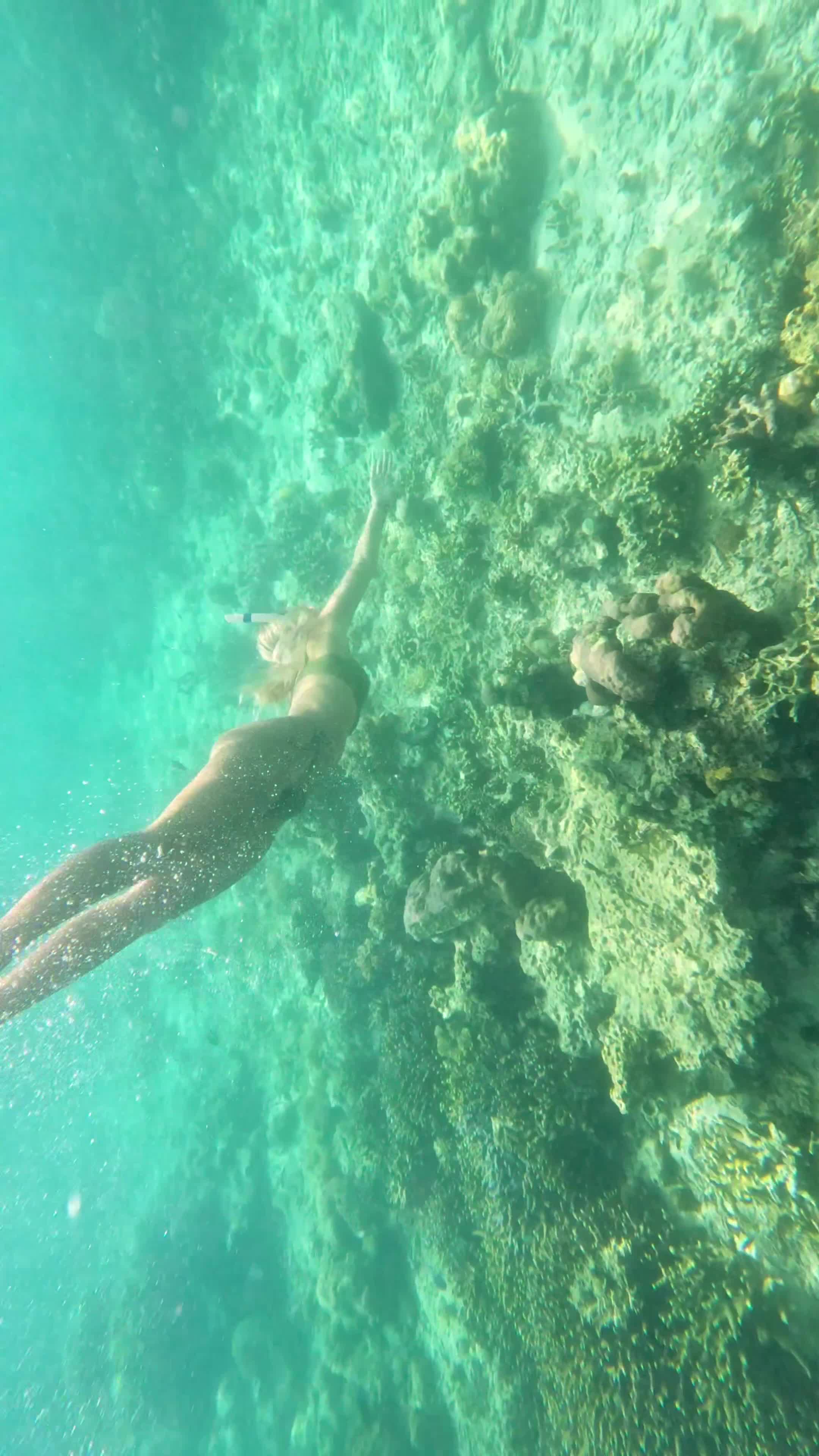 Video 367451 from Sophie Schnur