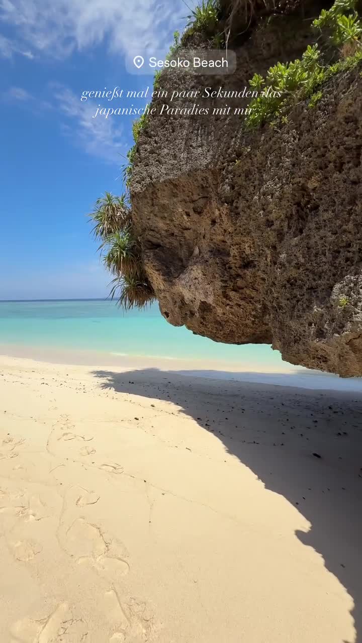 Video 367830 from Paula Doeringer