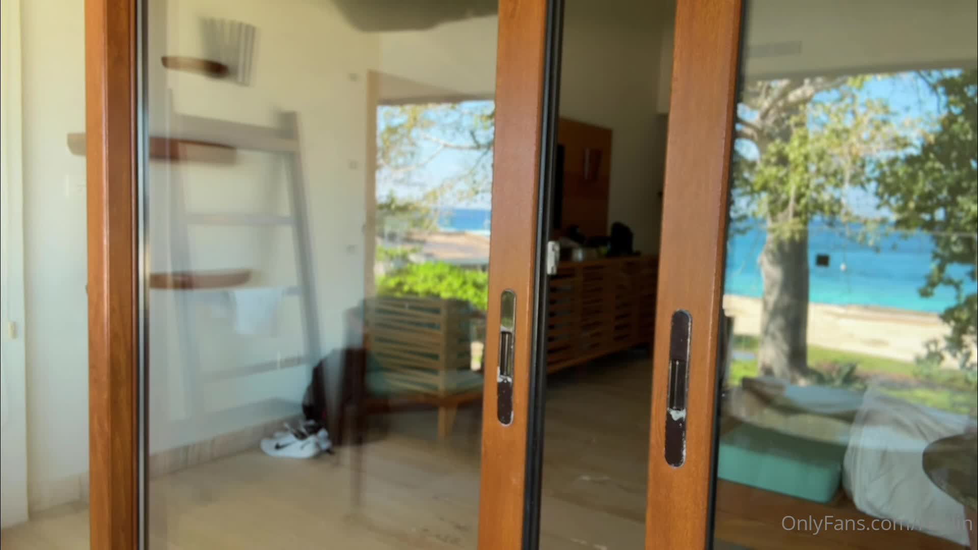 Video 368014 from Reislin