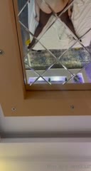 Video 369544 from iammia1