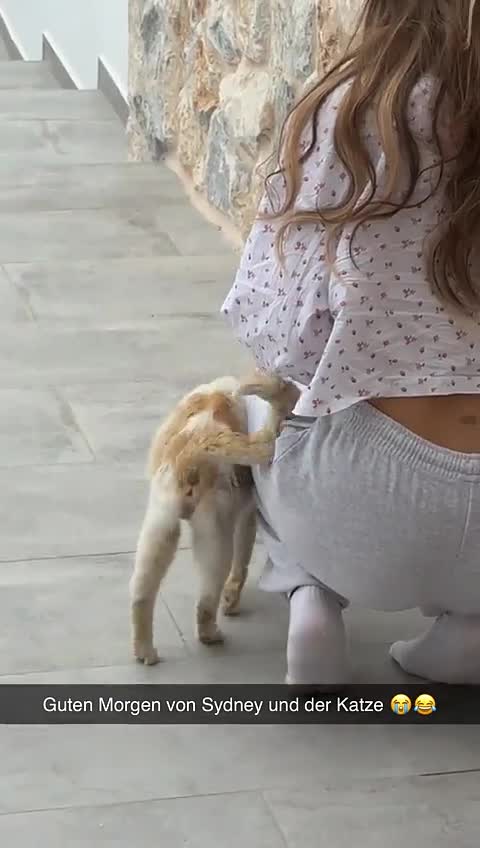 Video 369732 from Payton Ramolla