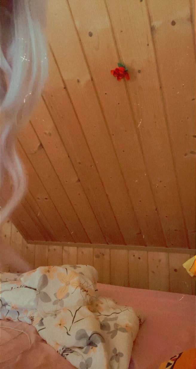 Video 370331 from luisakrpp