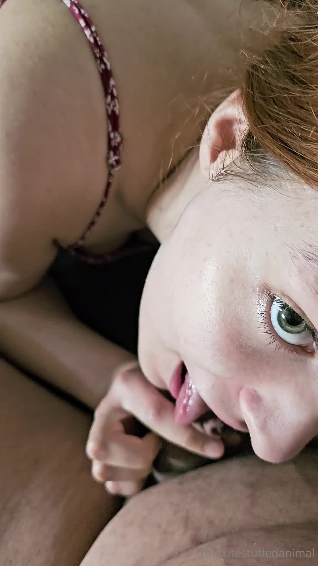 Video 426871 from thecutestuffedanimal