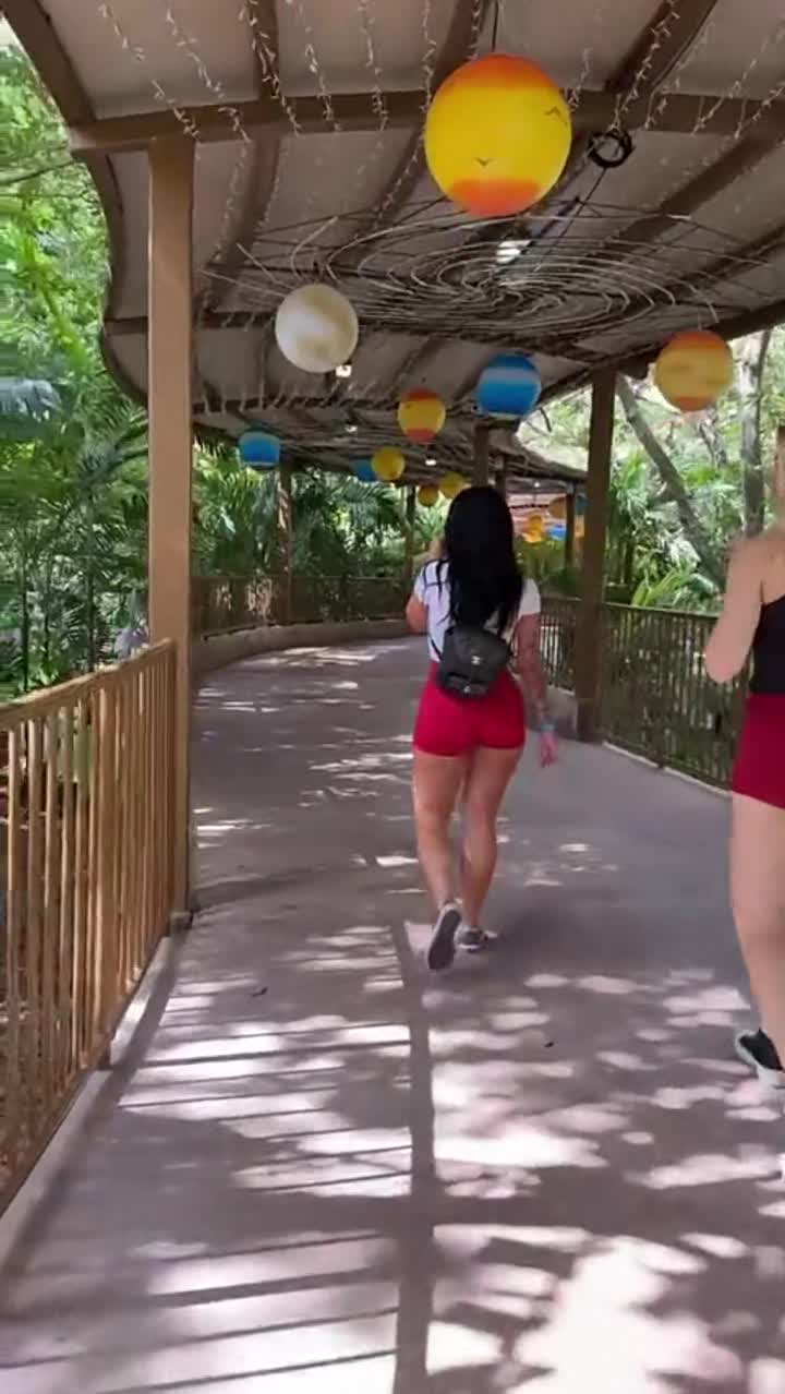 Video 275497 from Vera Dijkmans / Veradijkmansofficial