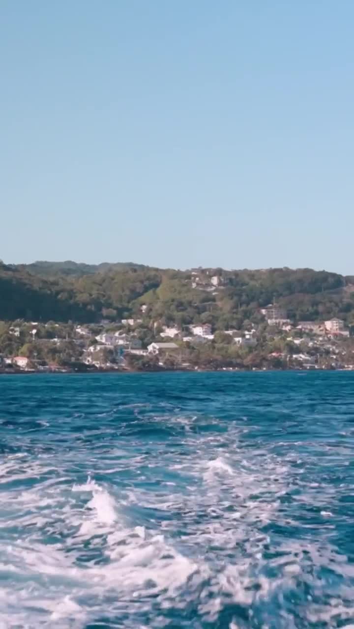 Video 283636 from Rayna V