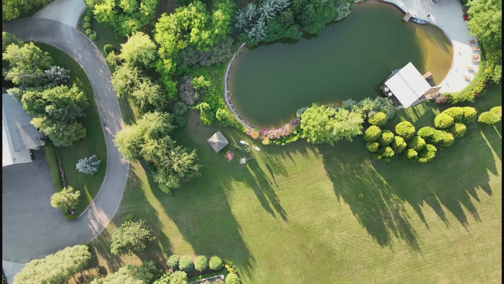 Video 432873 from Milan Cheek