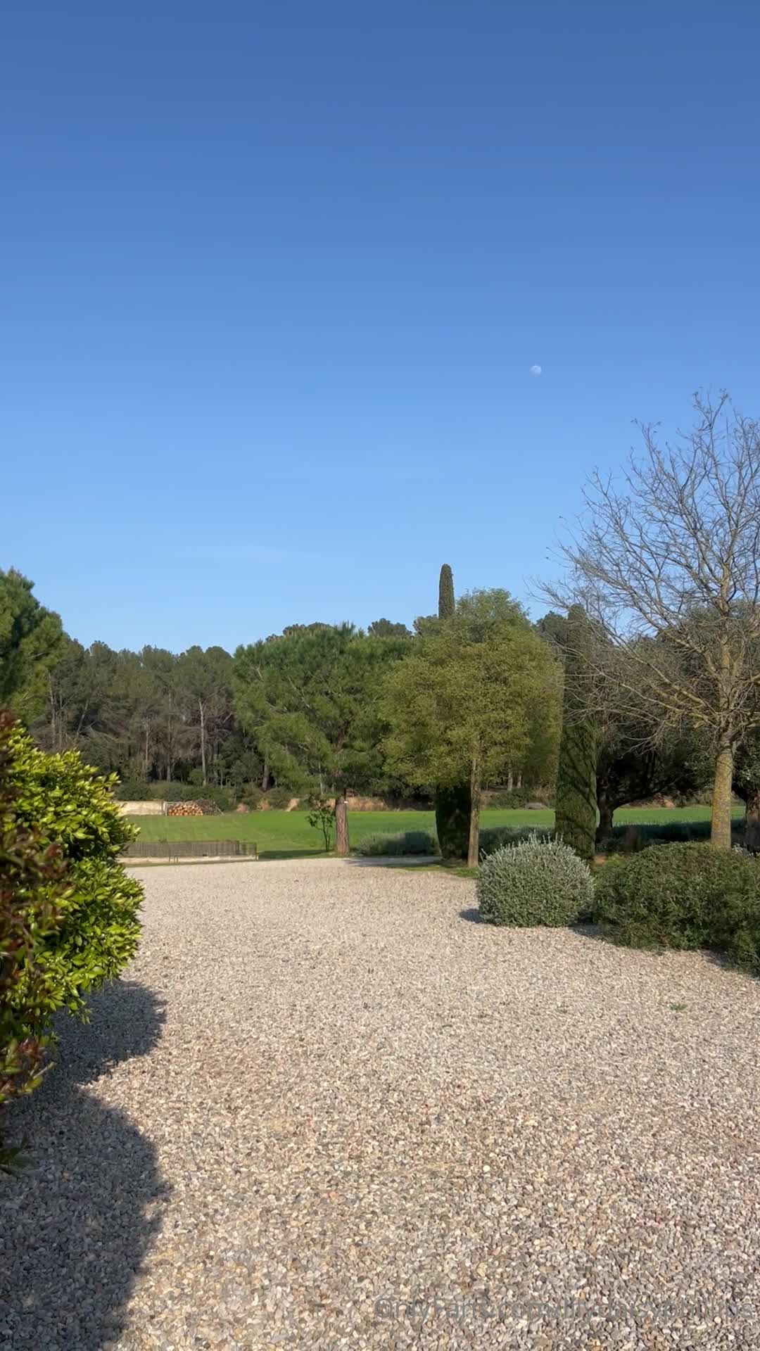 Video 267127 from Lillian Phillips