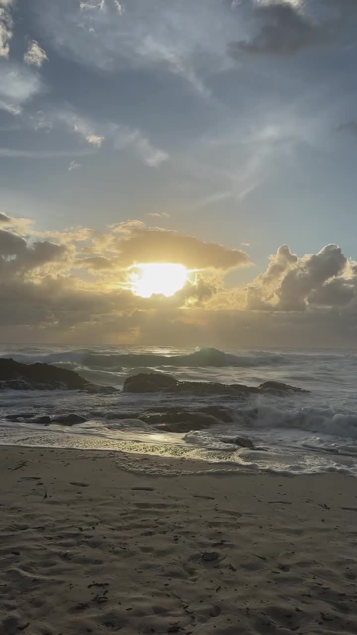 Video 433311 from Emily Feld - emily.feld