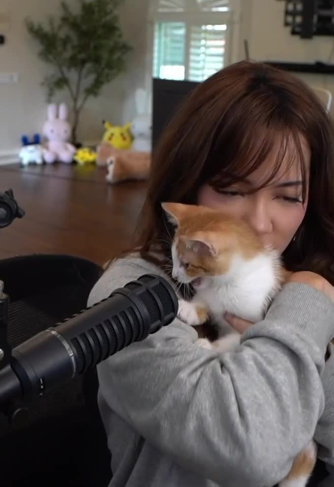 Video 267496 from Cinnabrit