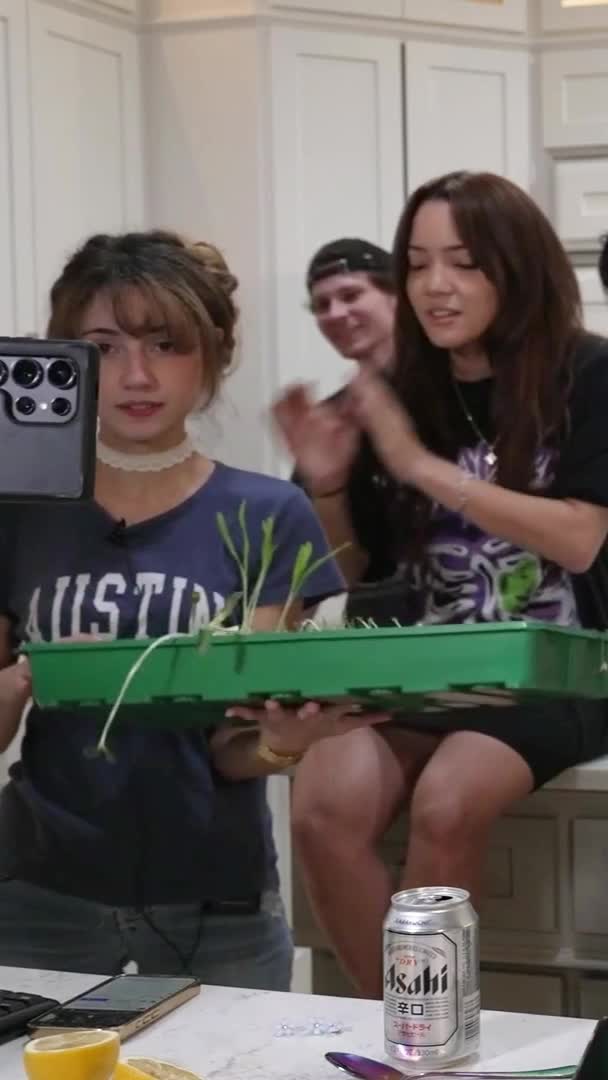 Video 433920 from Cinnabrit