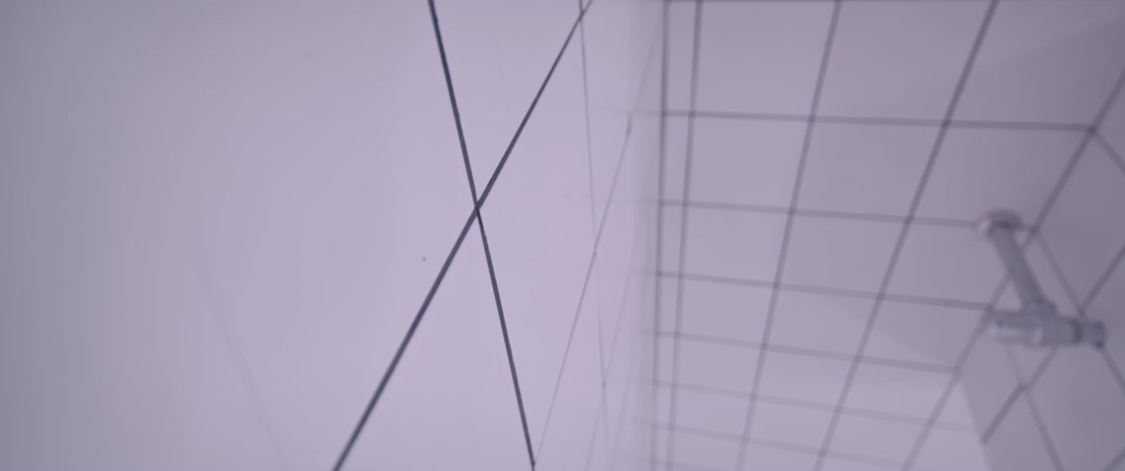 Video 434384 from Margaret Qualley