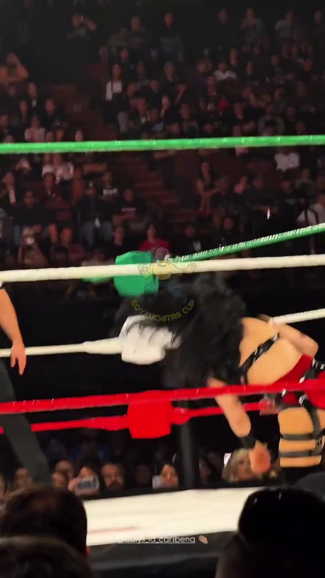 Video 434810 from Stephanie vaquer