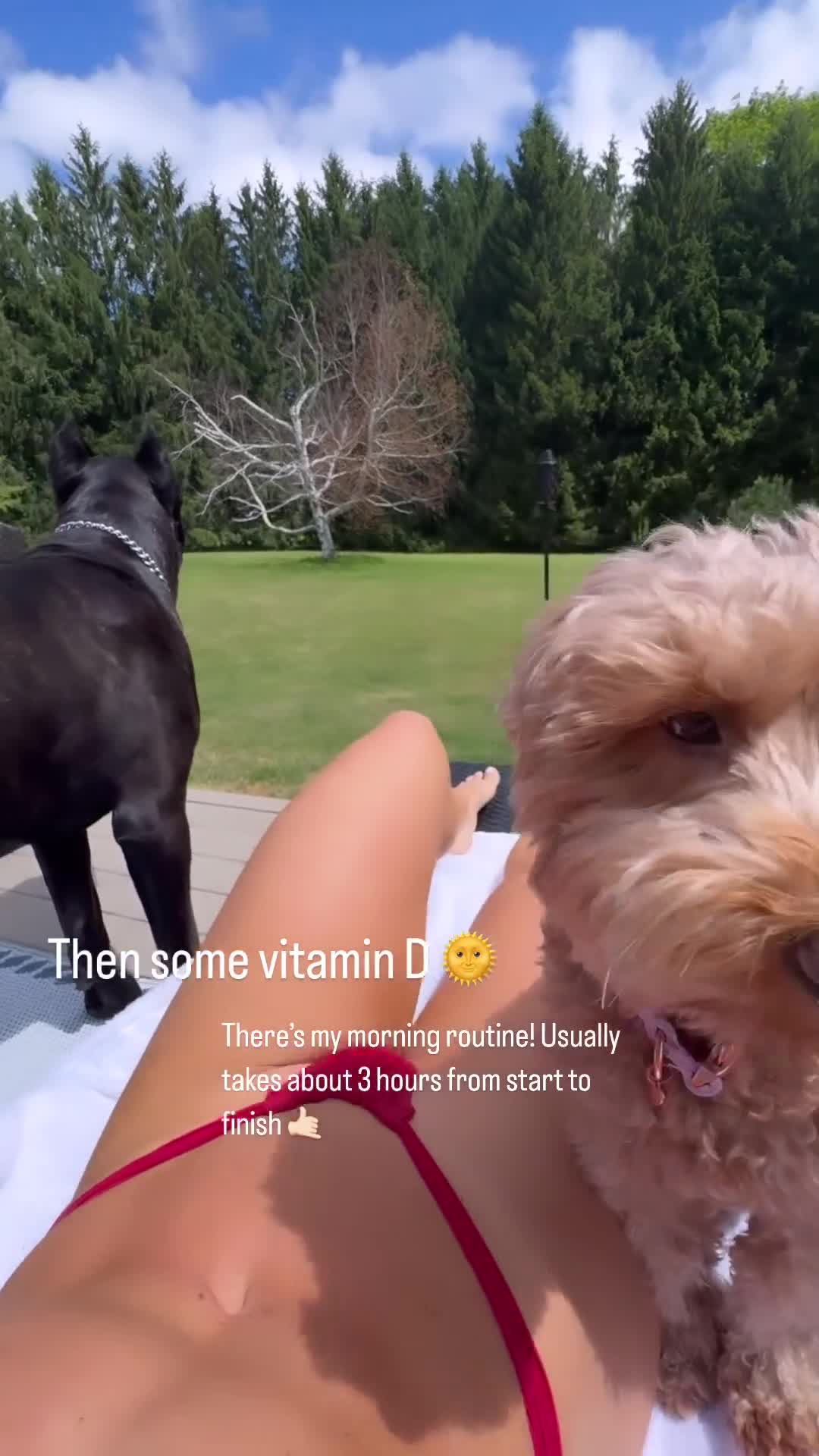 Video 276464 from Mandy Sacs | Mandy Rose