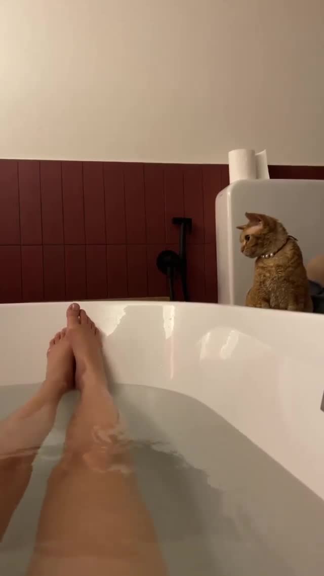 Video 268685 from Natasha Shelyagina - gusenica_lo