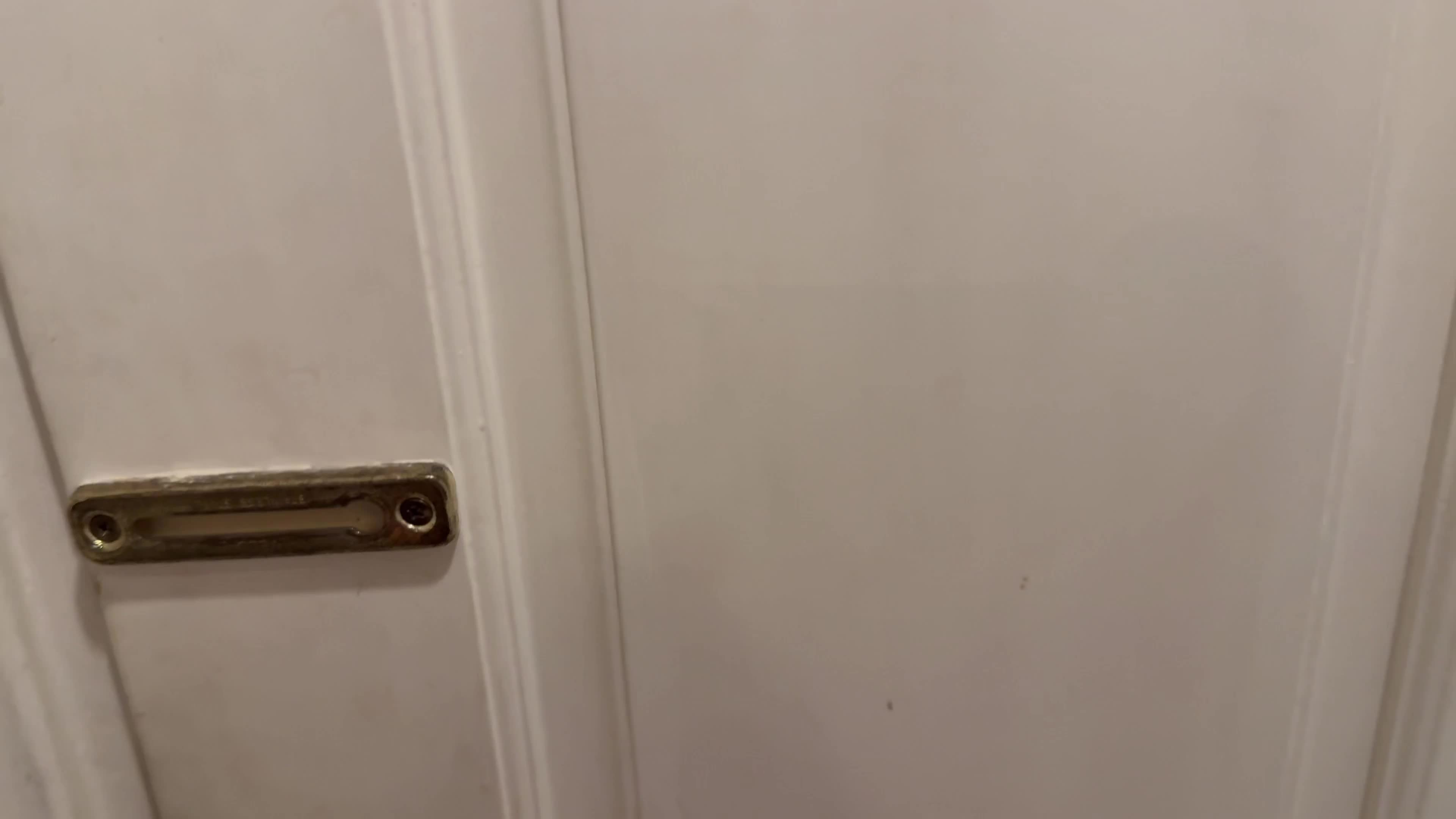 Video 437197 from Sweetie Fox / MoonFleur