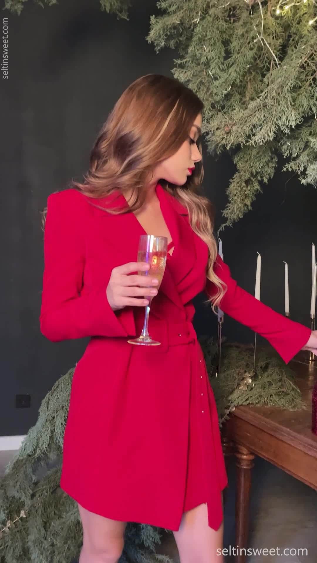 Video 269990 from Selti