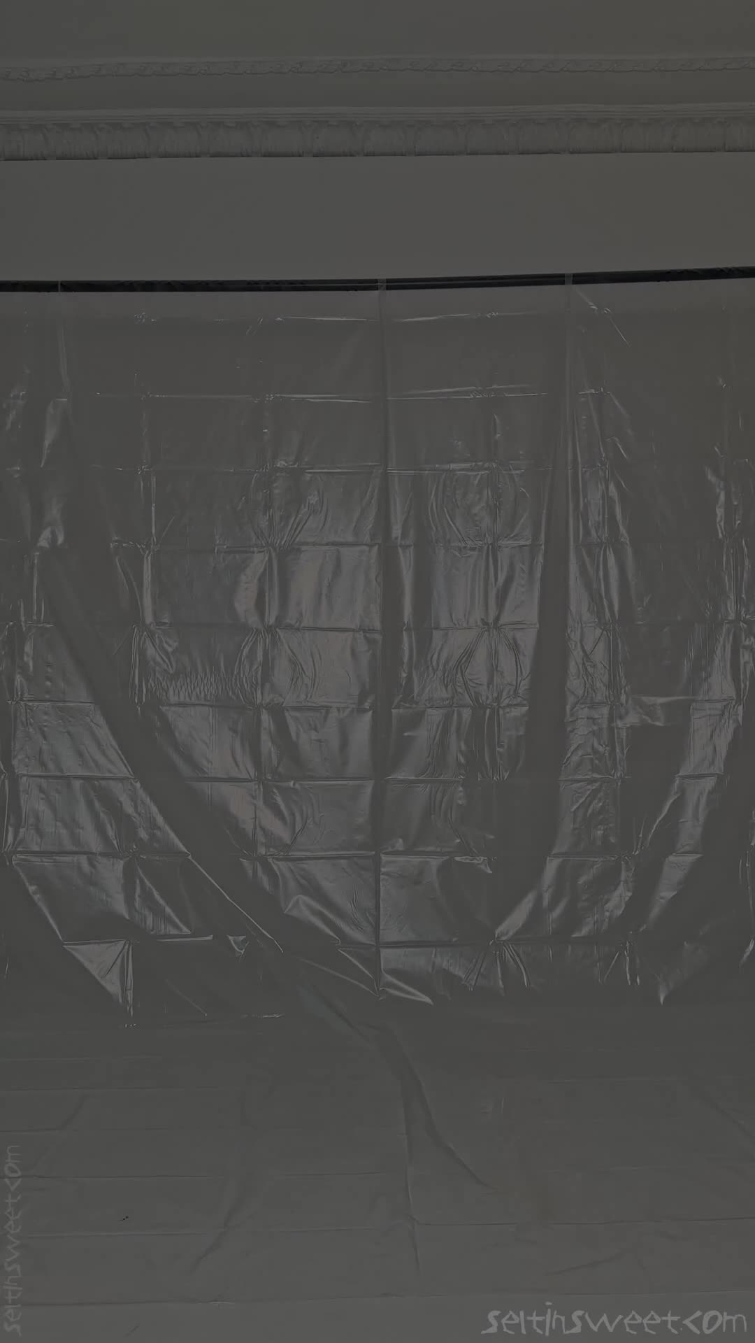 Video 270683 from Selti