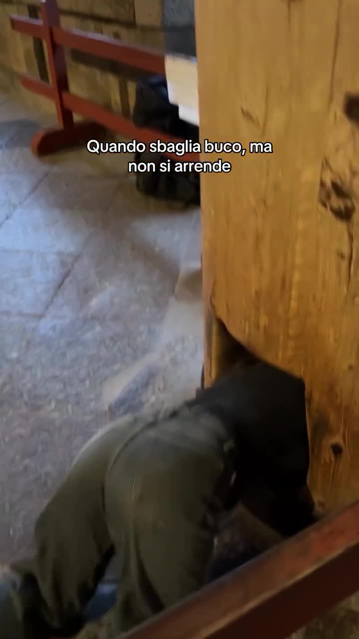 Video 303552 from Ika_dauria | ika dauria | ikadauria